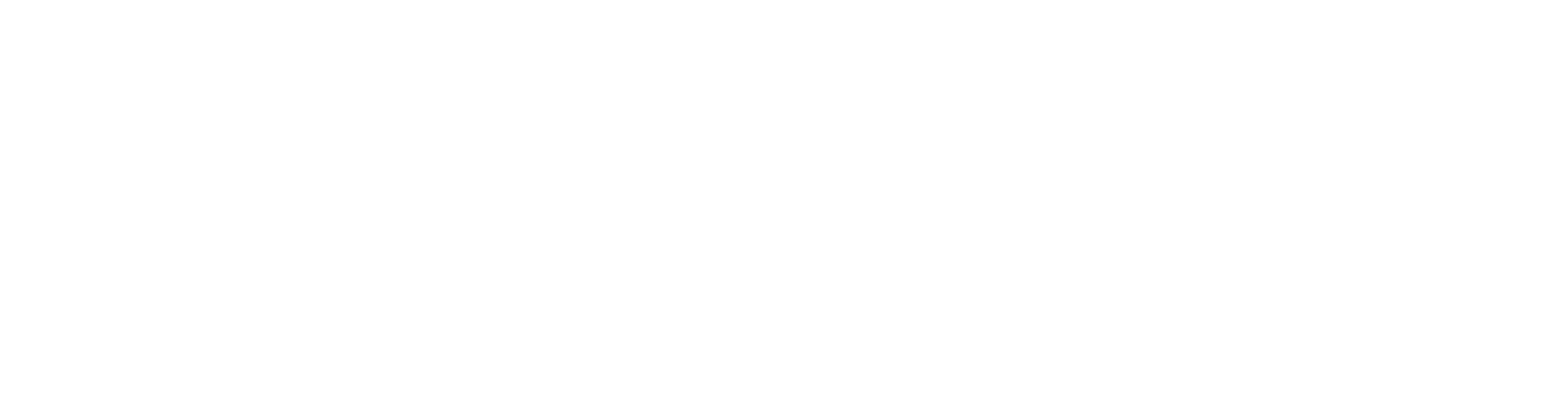 Paypal-logo-white